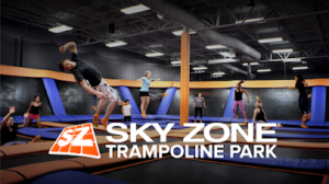 SKY ZONE TRAMPOLINE PARK (físico)