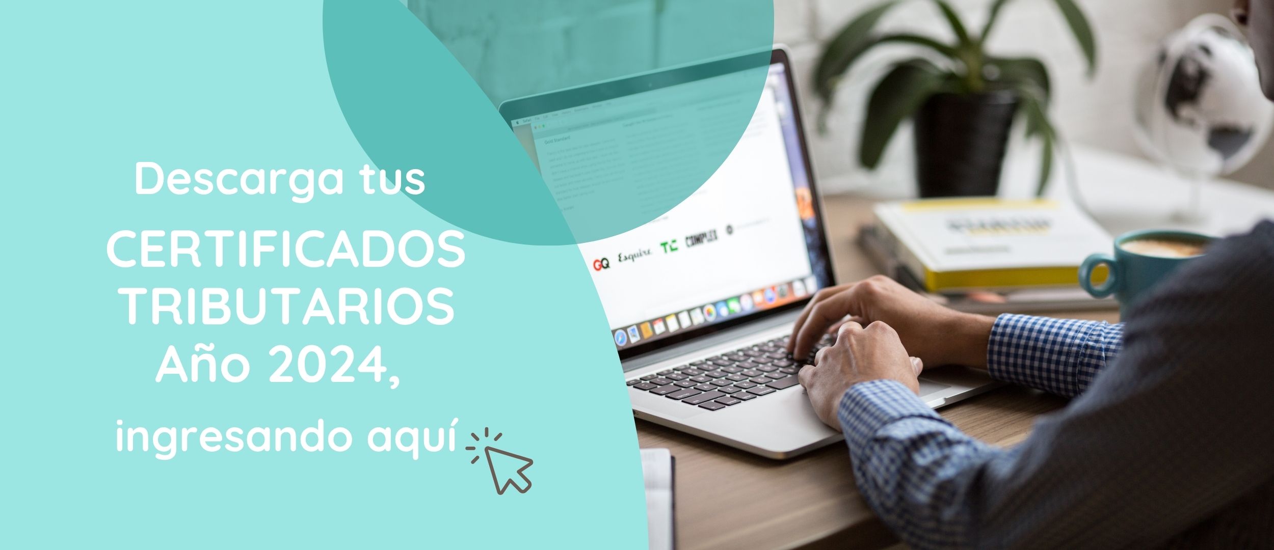 Texto-3